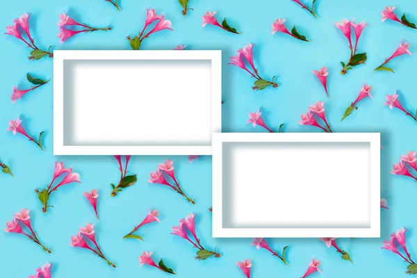 Schöne Rosa Weigela Blüten Auf Blauem Papier Hintergrund Trendige Kreative — Stockfoto