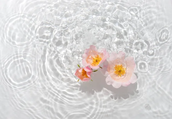 Carte Vœux Avec Belle Macro Pétales Rose Avec Goutte Flottant — Photo