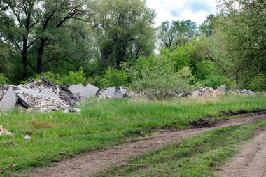 Yaz mevsimindeki genç ormanın yakınındaki inşaat enkazı ve atık yığınları. Çevre kirliliği. 