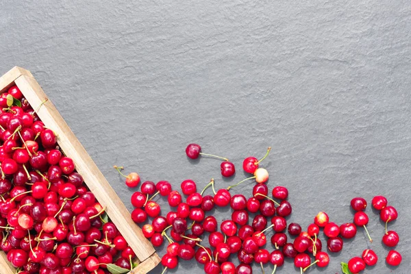 Frische Ernte Von Kirschbeeren Auf Der Arbeitsplatte Aus Grauem Stein — Stockfoto