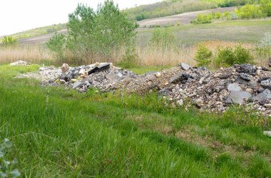 Yaz mevsimindeki genç ormanın yakınlarındaki inşaat enkazı ve atıklar..