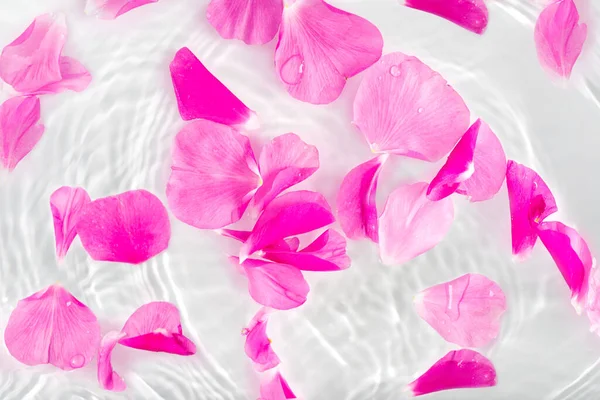 Красивые Лепестки Роз Макро Каплей Плавающей Поверхности Воды Близко Можно — стоковое фото