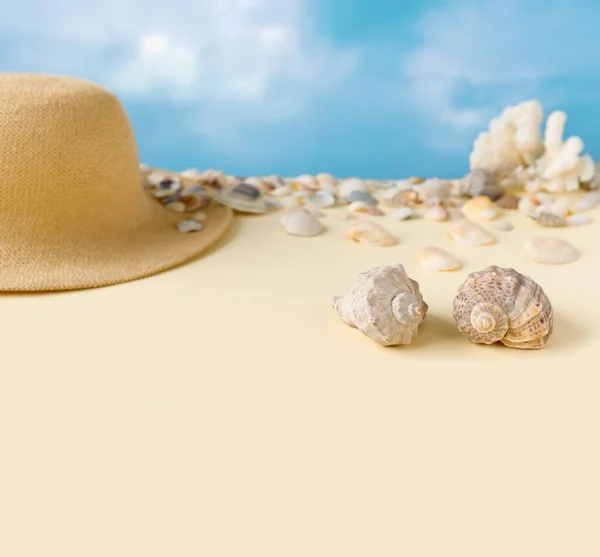 Beautiful Straw Hat Shells Ocean Coast Blue Sky Nature Summer — Stock Photo, Image