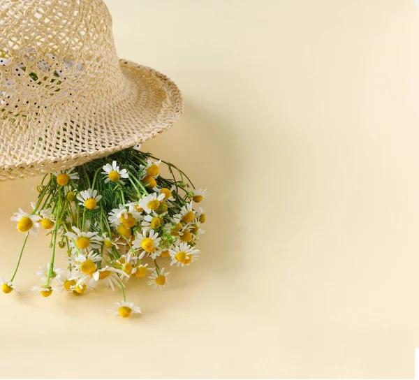 Krásný Slaměný Klobouk Kyticí Sedmikrásek Písečném Slunném Dni Příroda Letní — Stock fotografie