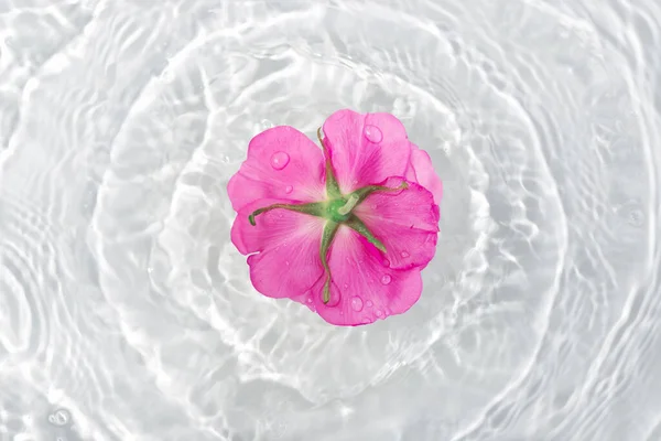 Όμορφη Ροδοπέταλα Μακροεντολή Σταγόνα Επιπλέουν Στην Επιφάνεια Του Νερού Από — Φωτογραφία Αρχείου