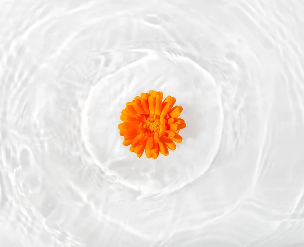 Schöne Ringelblumenblütenblätter Mit Tropfen Die Auf Der Wasseroberfläche Schwimmen Aus — Stockfoto