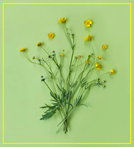 Krásná Jemná Pohlednice Vzorem Žluté Máslové Květy Sváteční Pozdrav Nebo — Stock fotografie