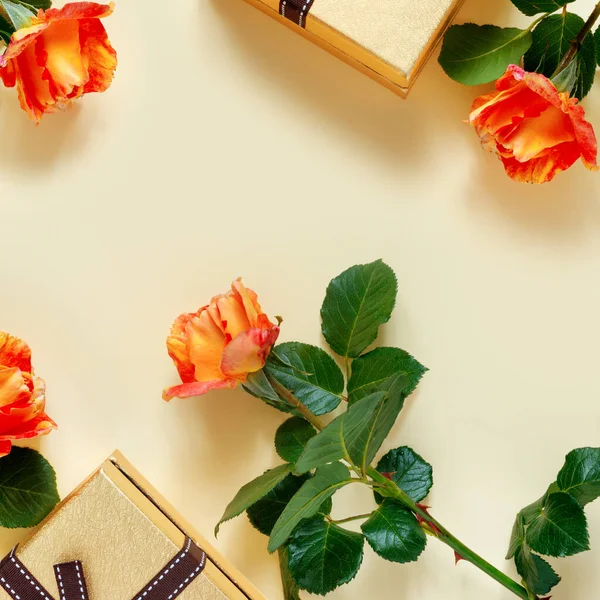 Hermosas Rosas Rosadas Con Caja Regalo Oro Lazo Sobre Delicado —  Fotos de Stock