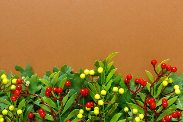 Rami Quercia Sorbo Autunnale Con Bacche Rosse Sfondo Marrone — Foto Stock