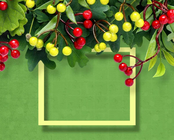 秋天的橡木和橄榄树枝条 绿色背景的红色浆果 — 图库照片