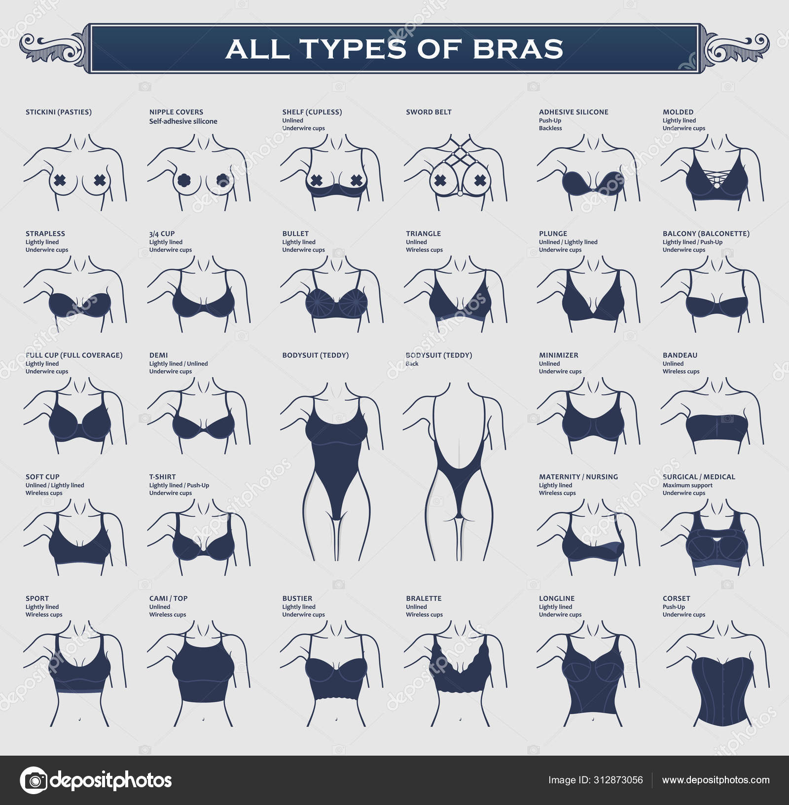 Types of bras. The most complete vector collection of lingerie Stock Vector  by ©Extezy 312873056