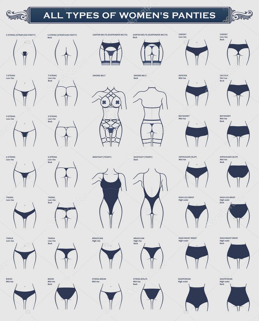 Types women panties. Vector collection of lingerie. Sexy set of underwear, string panty, thong, tanga bikini, brazilian cheeky, hipster boyshorts, high waist leg