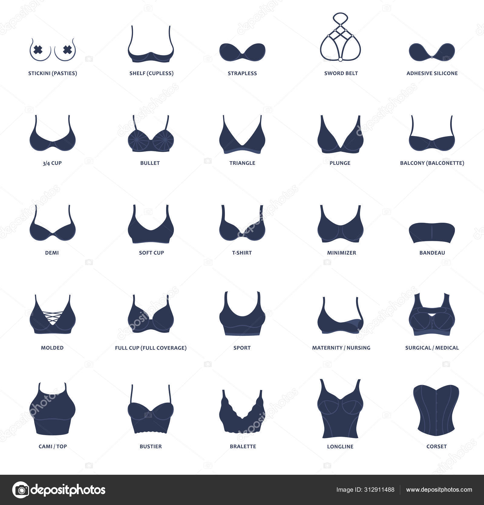 Types of bras. The complete vector collection of lingerie Stock Vector by  ©Extezy 312911488