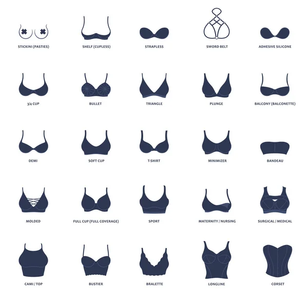 Types of bras. The complete vector collection of lingerie — Stock Vector