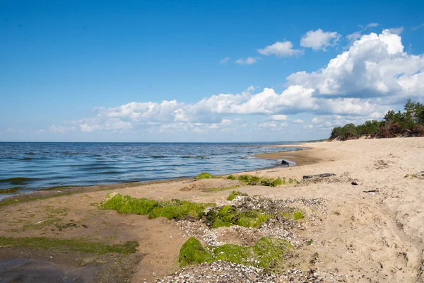 Вид Узбережжя Балтійського Моря — стокове фото
