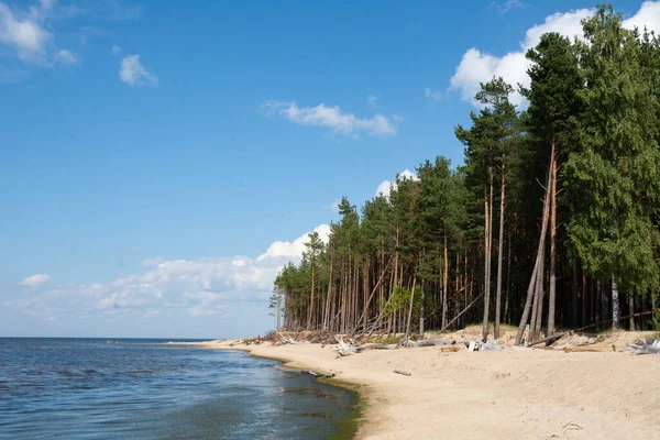 Widok Wybrzeże Morza Bałtyckiego — Zdjęcie stockowe