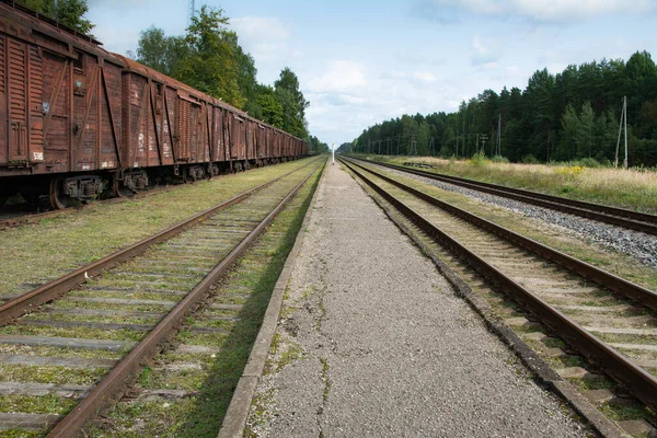 Escena Del Ferrocarril Con Tren Carga — Foto de Stock