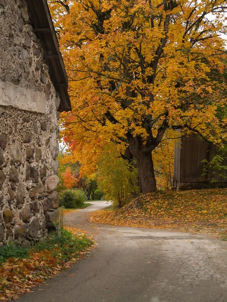 Zakřivená Cesta Podzimní Krajina — Stock fotografie