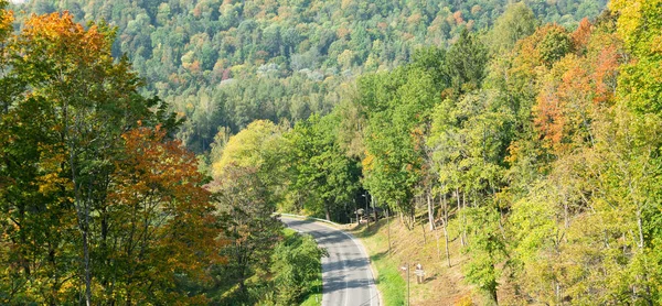 Paesaggio Stradale Forestale Autunnale — Foto Stock