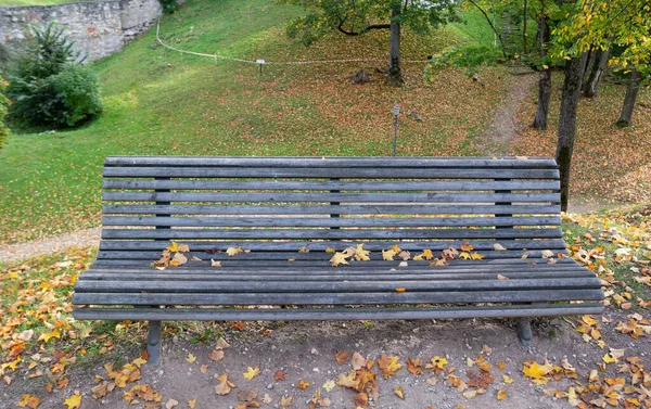 Banc Unique Sur Image Automne Parc — Photo