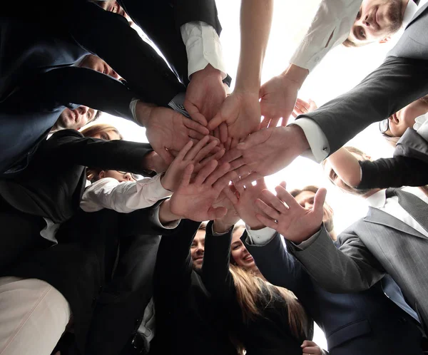 Gran equipo de negocios está formando un círculo y sus manos juntas — Foto de Stock