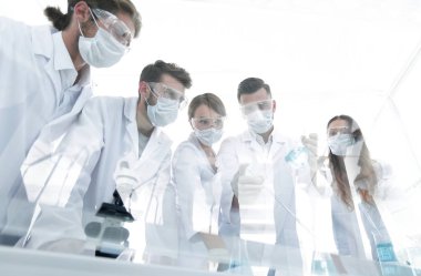 bilim adamları test tüpleri ve laboratuar mikroskobu ile çalışma