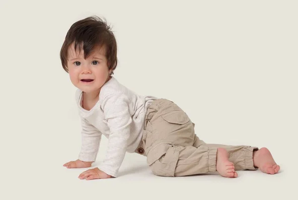 Portrait d'un mignon bébé doux rampant dans le studio — Photo