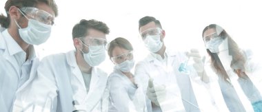 bilim adamları test tüpleri ve laboratuar mikroskobu ile çalışma