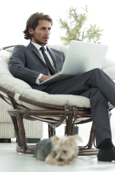 Içinde büyük bir rahat armchai oturan dizüstü bilgisayar ile başarılı iş adamı — Stok fotoğraf