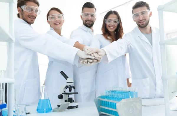 Erfolgreiches Team junger Wissenschaftler mit zusammengeklammerten Händen. — Stockfoto