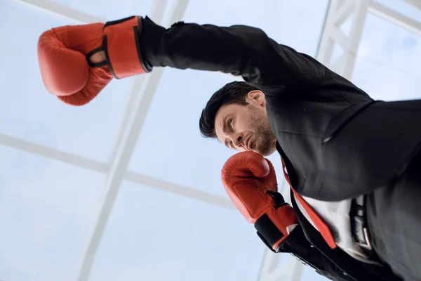 Close up.serious businessman in Boxing gloves — Stock Photo, Image