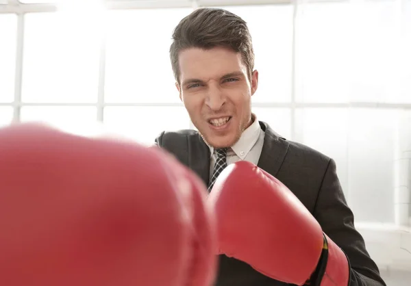 Purposeful young businessman in Boxing gloves. — Stock Photo, Image