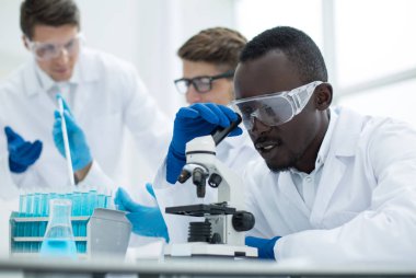 yakın up.a çok uluslu grup bilim adamı araştırma yürütüyor