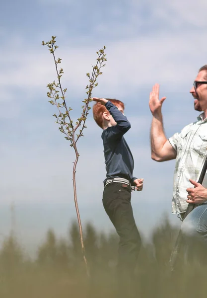 Gelukkig vader en zoon plant een jonge boom — Stockfoto