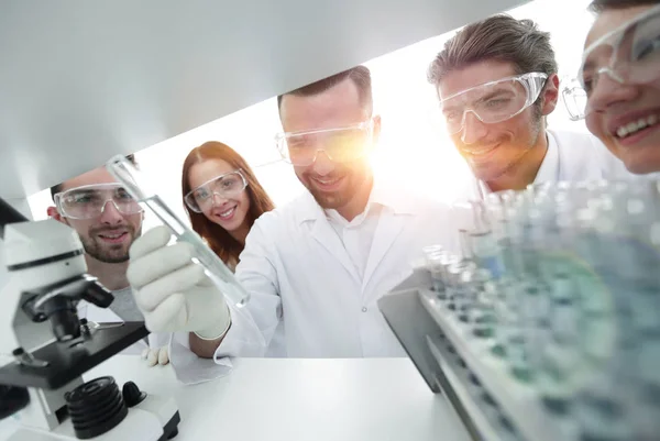 Group of pharmacists working in the laboratory. — Stock Photo, Image