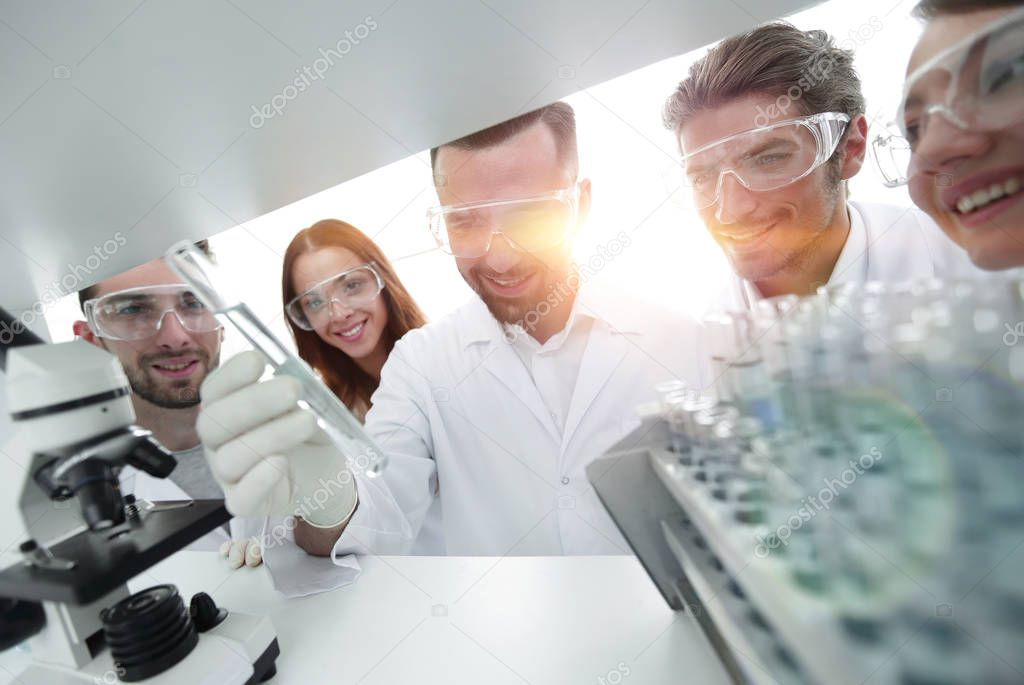 group of pharmacists working in the laboratory.