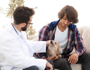 belgili tanımlık Yorkshire korkunç bir muayene veteriner yürütmektedir.