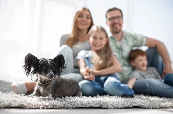 Imagem de fundo da família feliz com animal de estimação — Fotografia de Stock