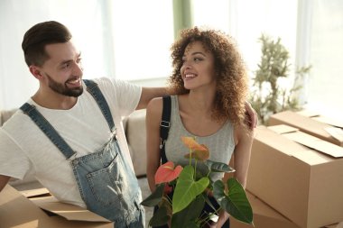 Yeni bir daire duran kutuları ile evli.