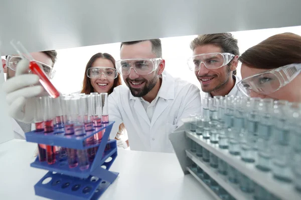 Grupo de científicos y farmacéuticos que trabajan en el laboratorio — Foto de Stock