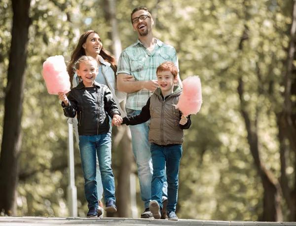 Gelukkig broer en zus met suikerspin op een wandeling in het Park. — Stockfoto