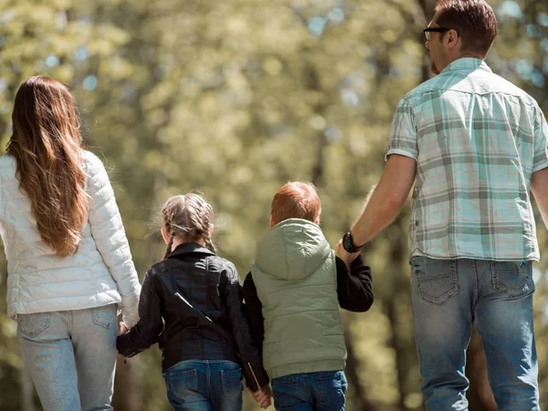Вид сзади. семья с двумя детьми, идущими рука об руку в парке . — стоковое фото