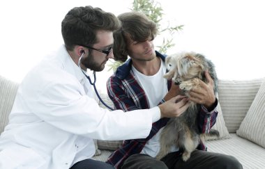 Sevgi dolu sahibi ile bir veteriner ofiste a Yorkshire korkunç