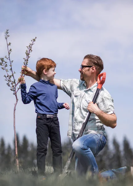 Mutlu baba ve oğul birlikte bir ağacı dikti. — Stok fotoğraf