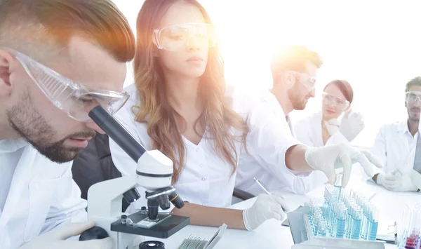 Científicos examinando en el laboratorio con tubos de ensayo . — Foto de Stock