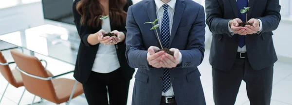 Business team Toon de eerste scheuten — Stockfoto