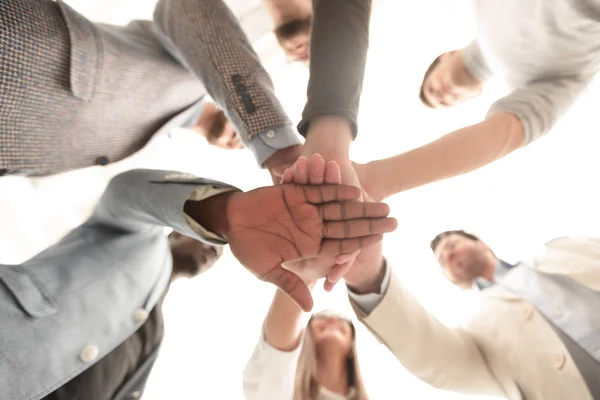 Close up.business equipe dobrou as mãos juntas . — Fotografia de Stock