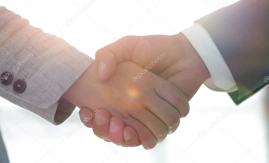 Business people handshake in modern office. Greeting deal concept