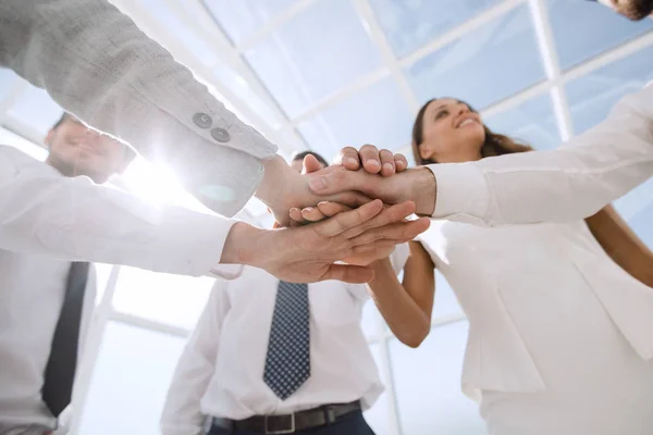 På nära håll. en grupp anställda som håller ihop sina händer — Stockfoto