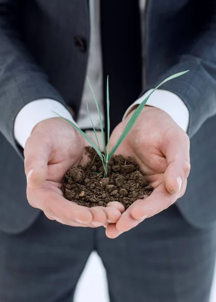 Mains Des Hommes Tenant Une Poignée Terre Germe Moyen Écologie — Photo